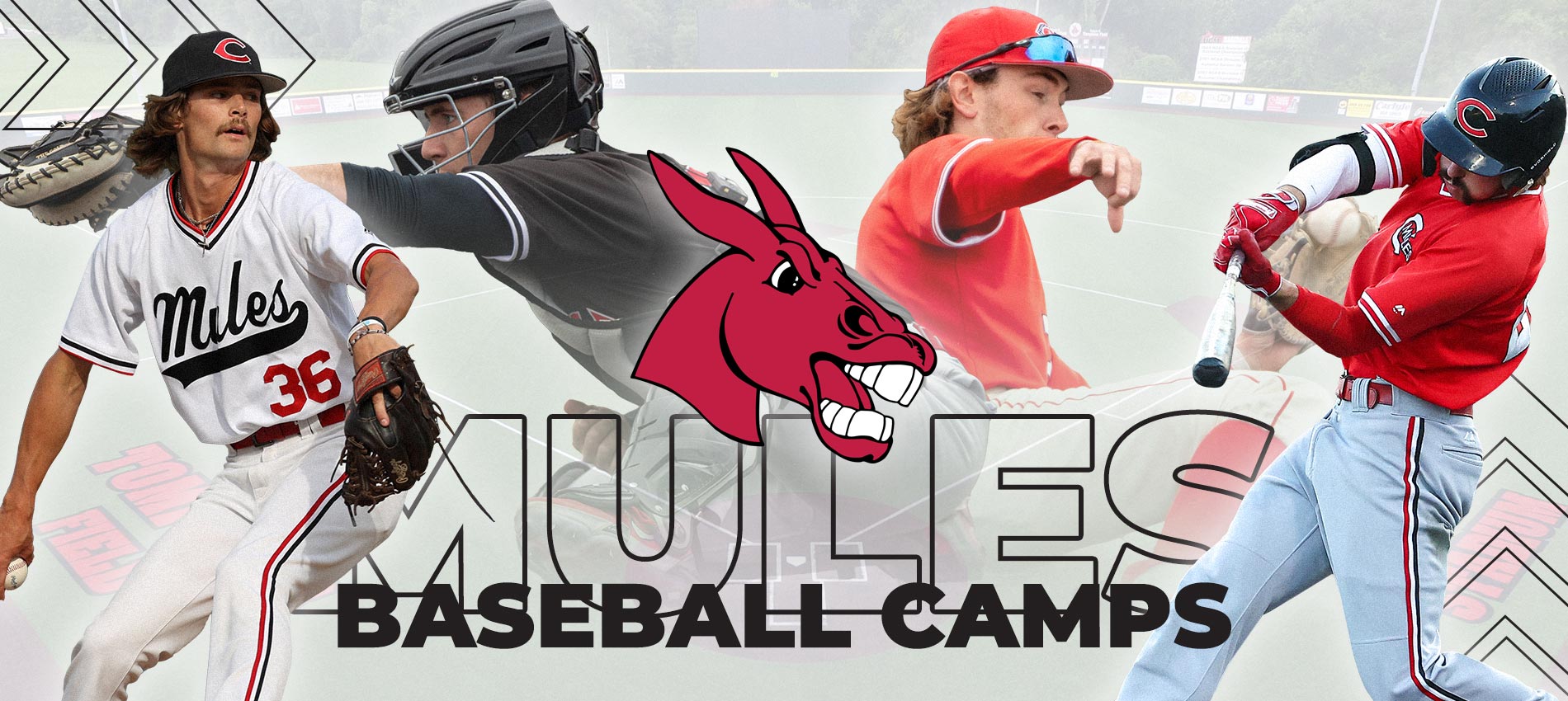 Mules Baseball Camps