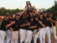 Mules Baseball Camps